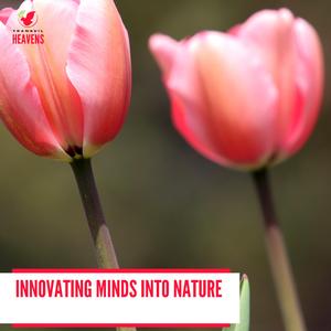 Tacky Distant Waterfall