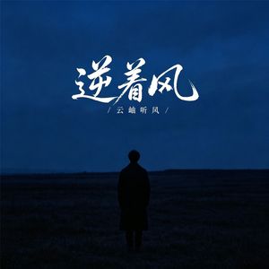 逆着风(烟嗓版)