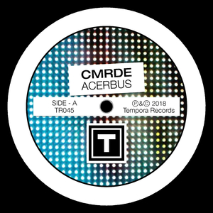 Acerbus (Original Mix)