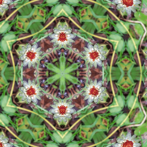 To break down the walls that divide