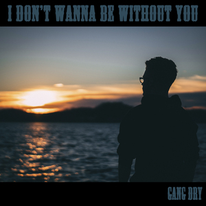 I Don't Wanna Be Without You