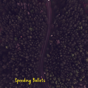 Speeding Bullets