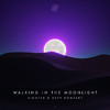Sighter - Walking In The Moonlight