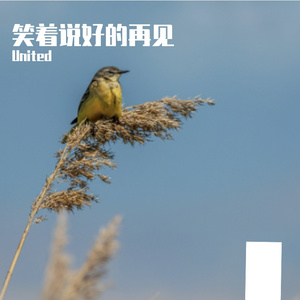 笑着说好的再见