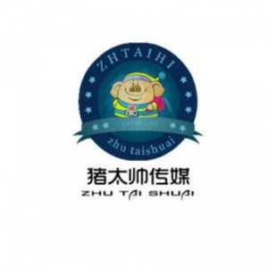 不做你的替代品