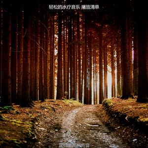 抚慰的冥想回忆