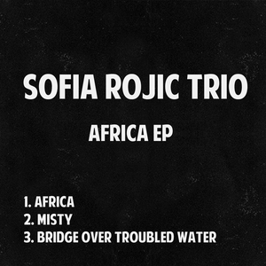 Bridge Over Troubled Water