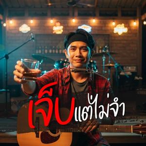 เจ็บแต่ไม่จำ