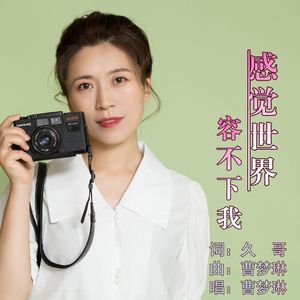 感觉世界容不下我