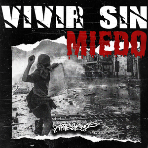 Vivir Sin Miedo