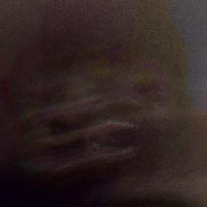 donut shaped persian rugs 4 dilla