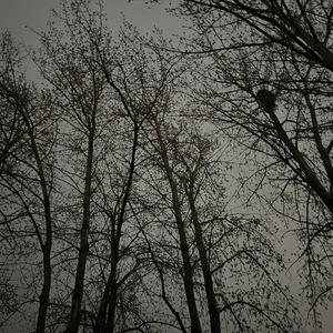 海逝demo（instrument only）