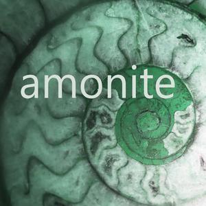 Amonite