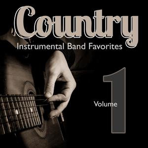 I Am a Man of Constant Sorrow (Instrumental Version)