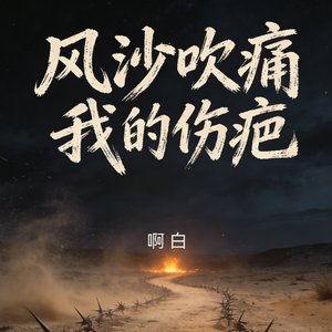 风沙吹痛我的伤疤