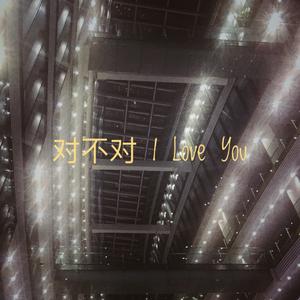 对不对I Love You（翻自 黄灿坤）