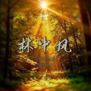 林中声