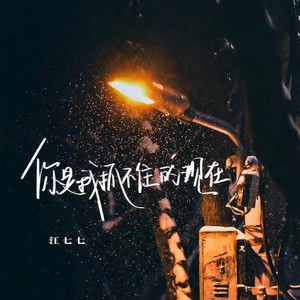 你是我抓不住的现在