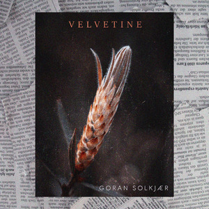 Velvetine