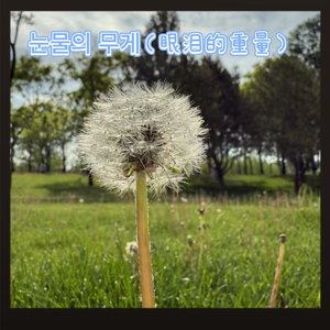 눈물의 무게（眼泪的重量）