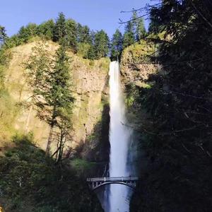 Walk Thru Fire（0.88x）