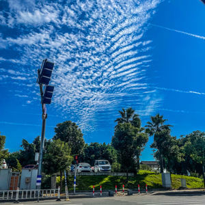 无人问津的日子里我在努力