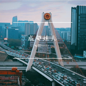 成都娃 成品
