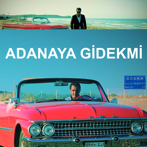 Adanaya Gi̇dekmi̇