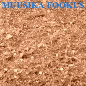 Muusika Fookus