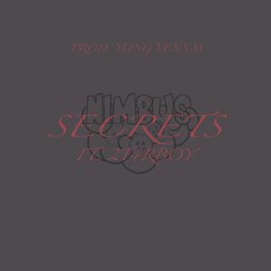 Secrets (feat. 2T4RBOY)