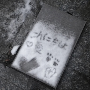 无-雪花落下（翻唱）（静静 remix）