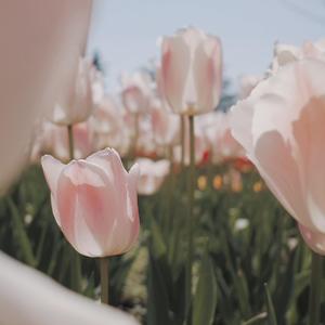 等你的日子不值得一提