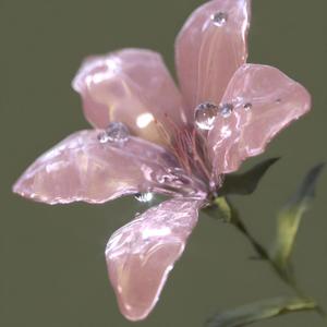 꽃잎점 (Love Me or Not)