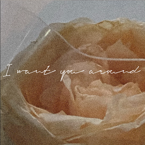 I Want You Around