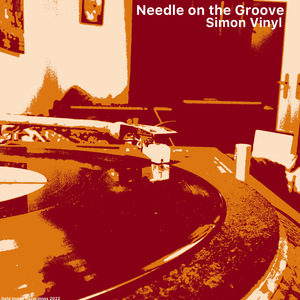 Needle on the Groove (Radio Master)