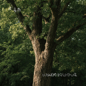 以为我的眼泪会让你心痛