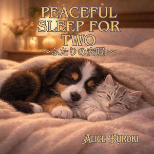 同じ夜の深さ — Depth of the Same Night