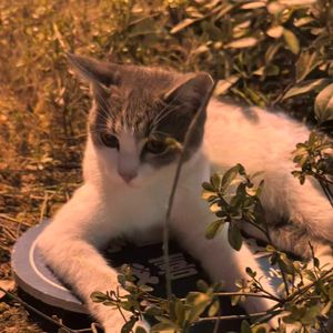 幸福列车总晚点(Prod.No Birthday)