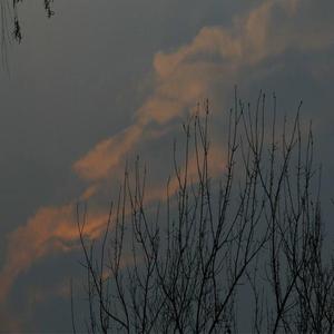 onlyevva-Bloom On My Own（sick6 remix）