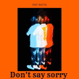 Don"t Say Sorry