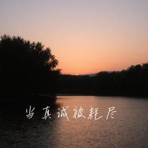 当真诚被耗尽 (Cover 文思闵)
