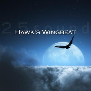 Hawk's Wingbeat