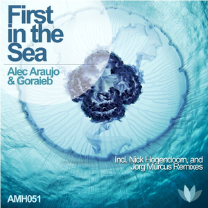 First In The Sea (Jorg Murcus Remix)