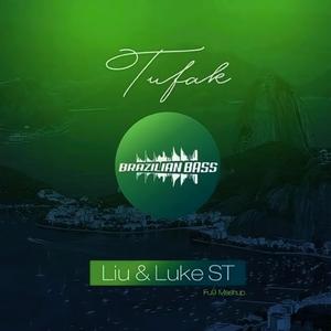 Liu & Luke ST - Tufak × This (Bootleg)（Fu9 Mashup）