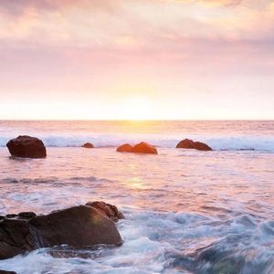 骑士背影 - 赤羽