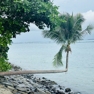 未寄出的第25封信