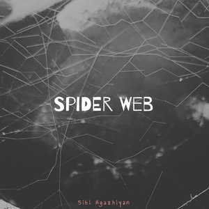 Spider Web