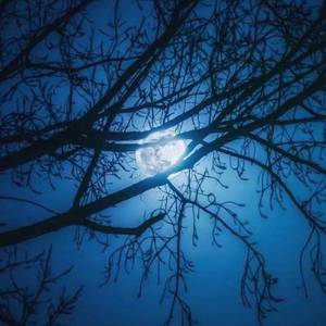 闻说笔端有风月