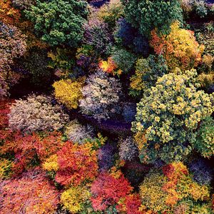 微妙的在家休息心情