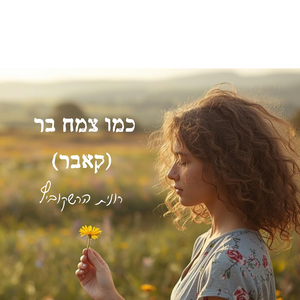 כמו צמח בר (קאבר)